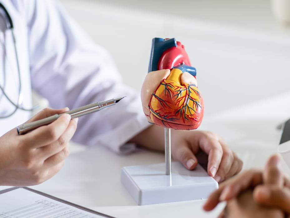 Check Up Cardiologia — Fenice Polispecialistica